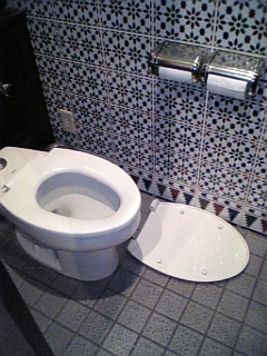 e0062892_311796.jpg