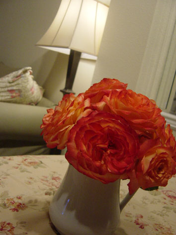 a0062203_16352775.jpg