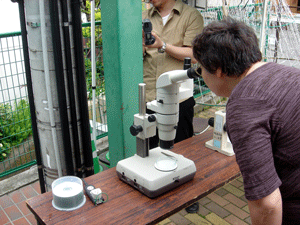 a0039307_2250156.gif