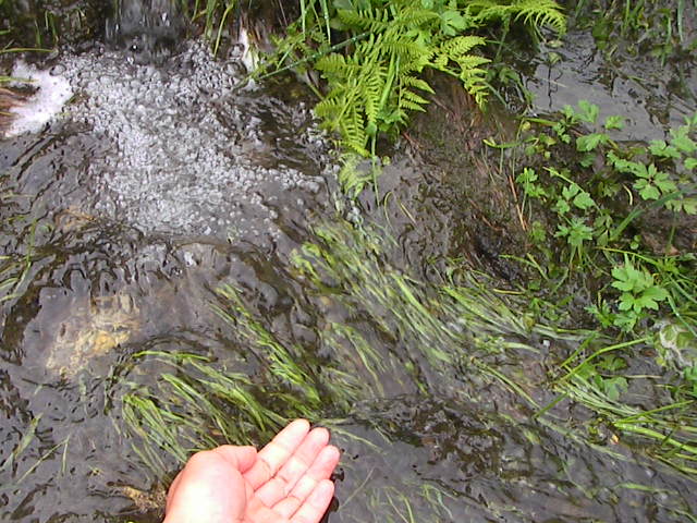 f0038407_66969.jpg