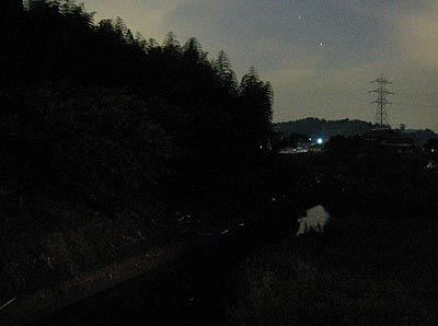 a0041508_22211343.jpg