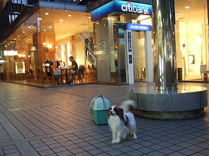 d0051614_6431288.jpg