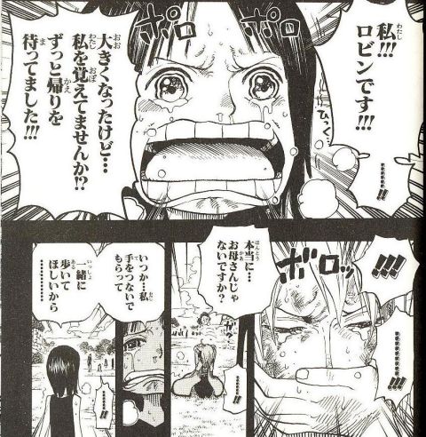 One Piece 今日のごはん