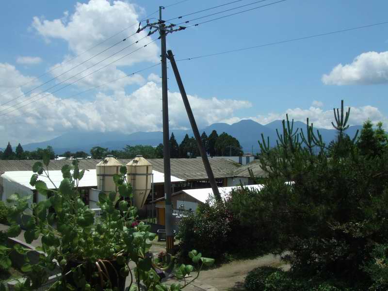 d0004728_12275548.jpg