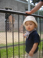 動物園_c0063336_233088.jpg