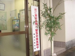 a0048040_17455456.jpg