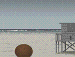 b0106442_14454223.gif
