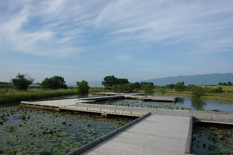 b0088444_21452837.jpg