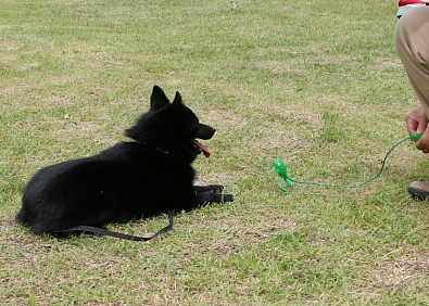 a0009750_11515926.jpg