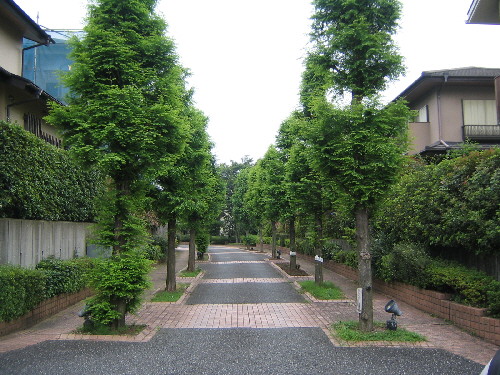 いきたまち_f0045052_193373.jpg