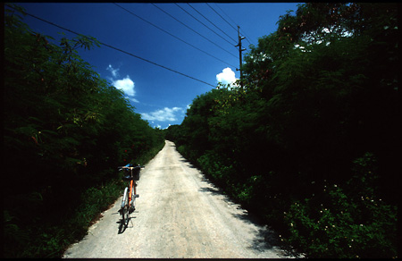 b0087456_0251375.jpg