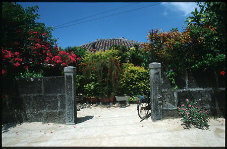 b0087456_0305027.jpg