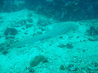 d0056263_112342100.jpg