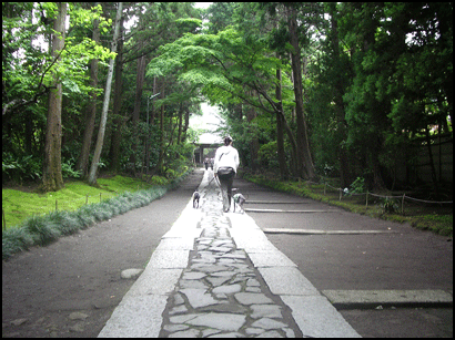 b0040868_11494057.gif