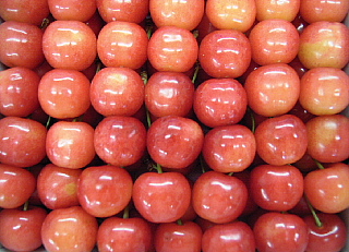 c0039501_17592414.jpg