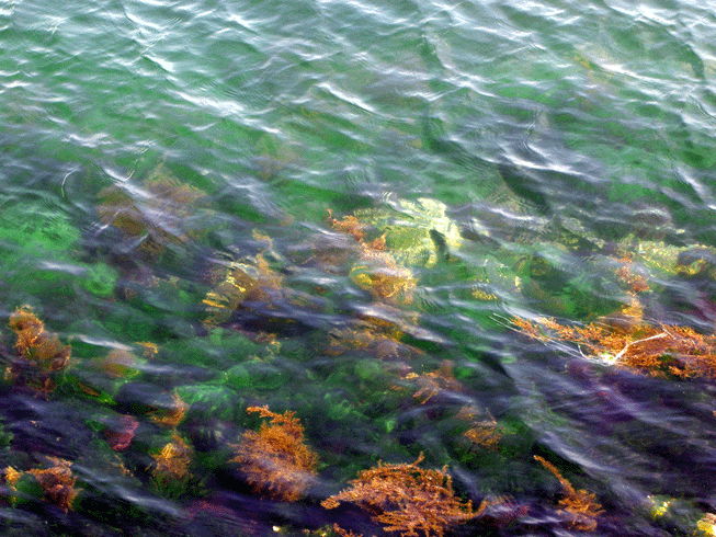 e0063003_1193345.gif