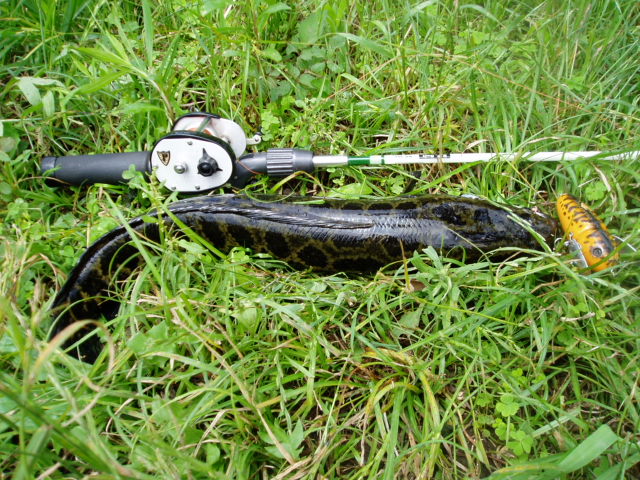 c0023804_1237538.jpg