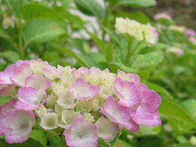 a0041508_20282123.jpg
