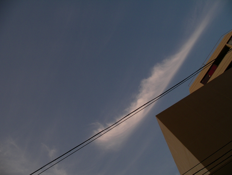 d0066031_2218761.jpg
