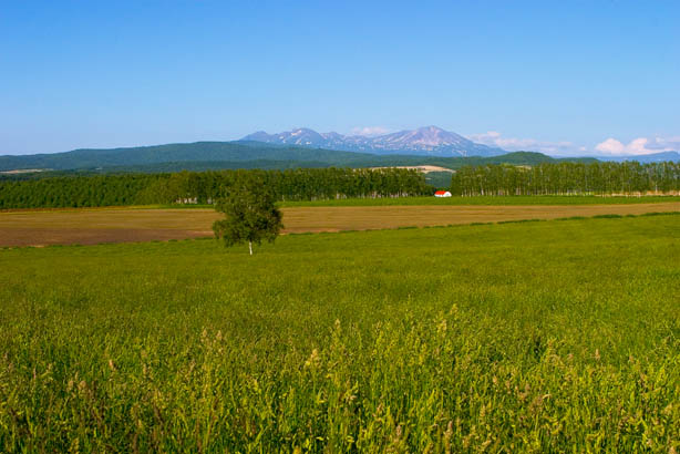 f0104847_09026.jpg