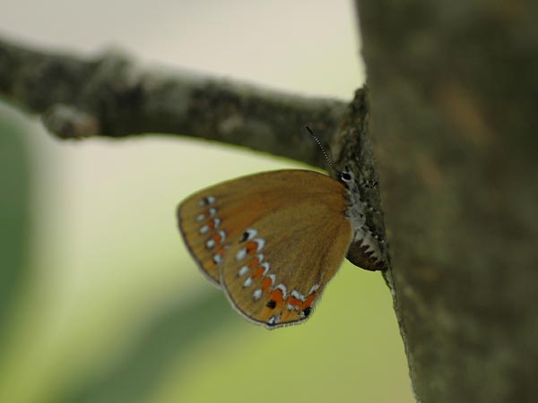 c0045352_22473536.jpg