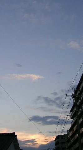 f0082855_0261645.jpg