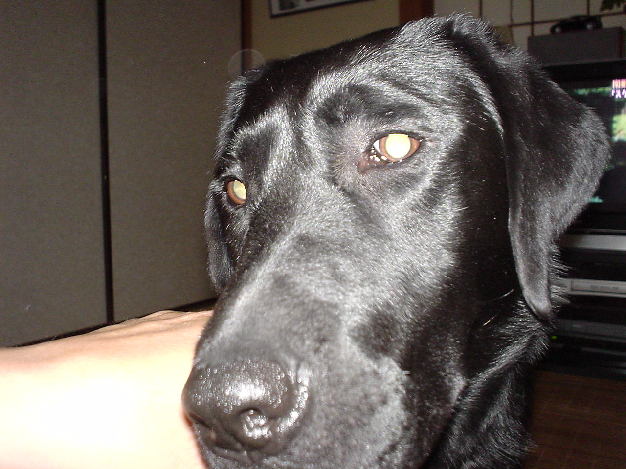 e0032163_0265314.jpg