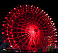 f0066464_1462573.gif