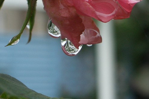 f0104569_221660.jpg