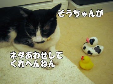 b0041182_2245592.jpg