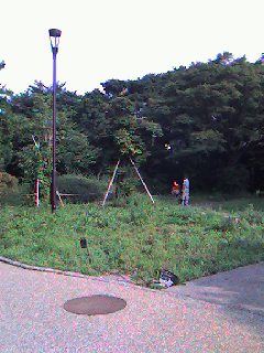 ~池の水増水計画にご協力お願いします!~_b0049307_1750879.jpg