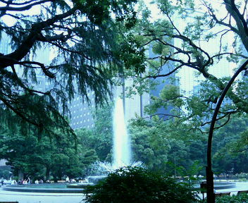 c0038524_216439.jpg