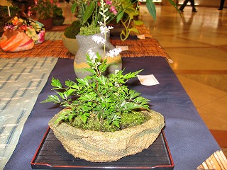 c0020653_23184175.jpg