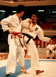 スタッフ紹介シリーズ2_a0079474_18214150.gif
