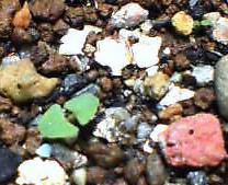Next_b0079097_195971.jpg