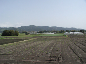 霧島紅甘露の苗植え会　２００６年６月２９日更新_b0076710_11185574.jpg