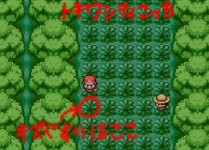 トキワのもり ポケモンだもの