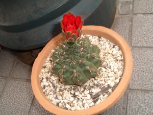 e0053937_13403022.jpg