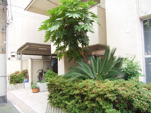 f0040342_19301448.jpg