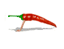 c0026846_22441828.gif