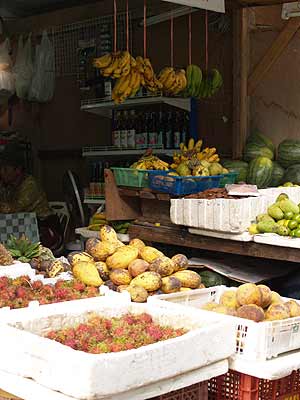 d0056263_10485447.jpg