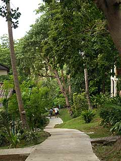 d0056263_11211834.jpg