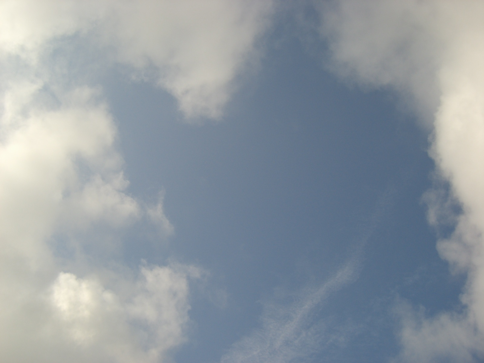d0047569_8223325.jpg