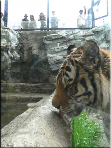 f0083977_2195997.jpg