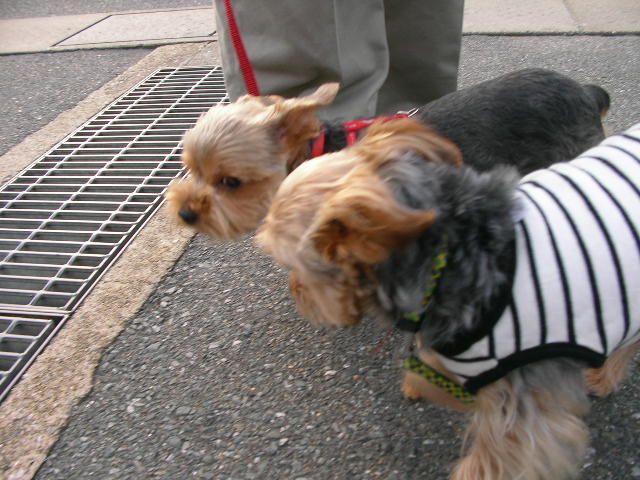 b0097394_0465731.jpg