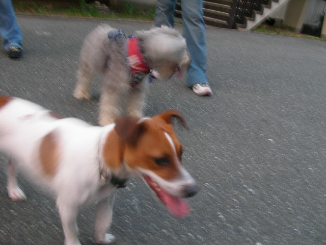b0097394_0505742.jpg