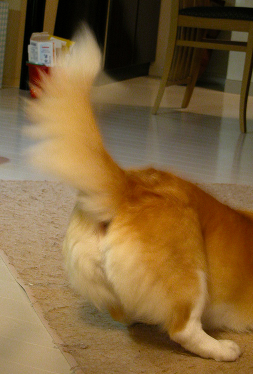 f0075595_23523181.jpg