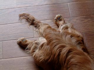 a0058408_1225336.jpg