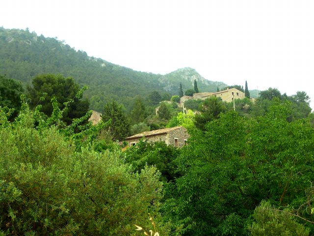 Prenafetaで 6_b0064411_63258.jpg