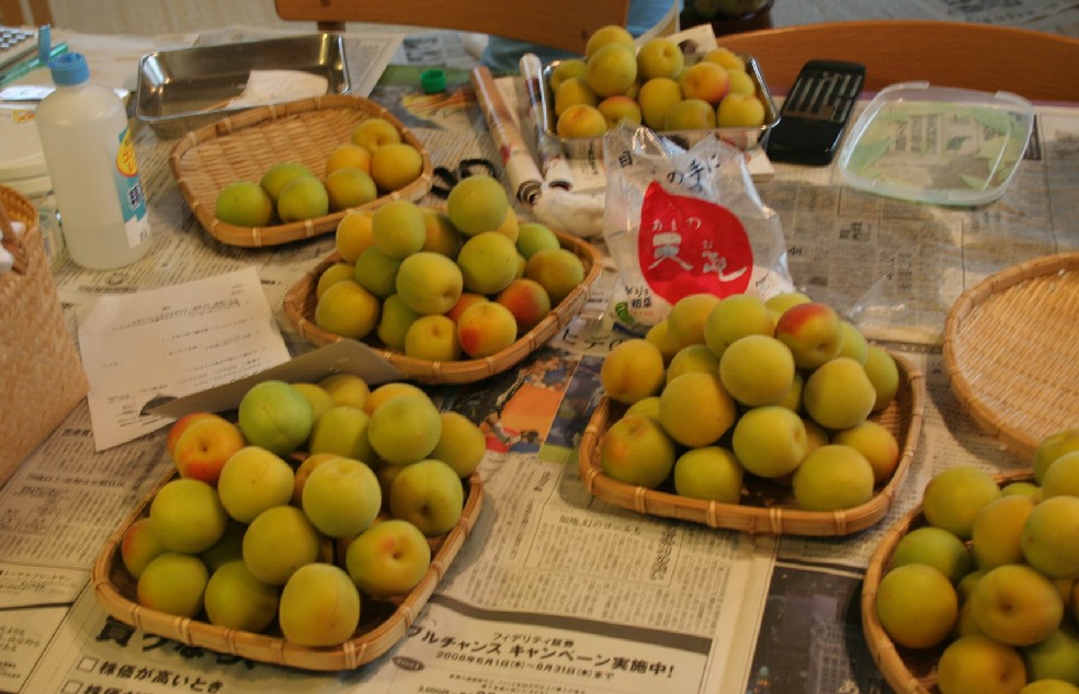 b0018112_62650.jpg